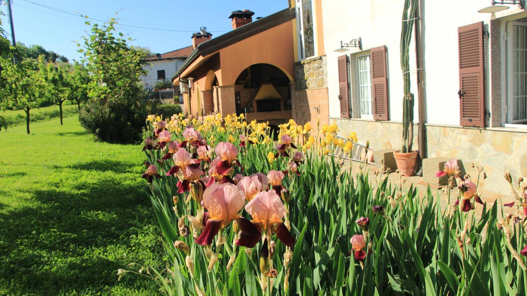 Casa Vacanze Ester Polverara Esterno foto